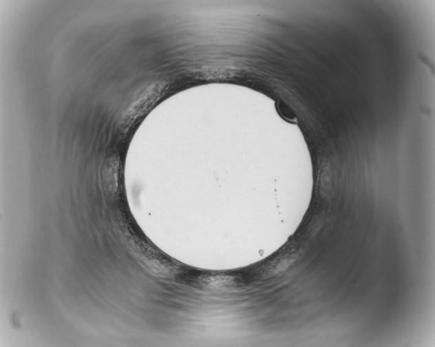 X0000103480501200810101002