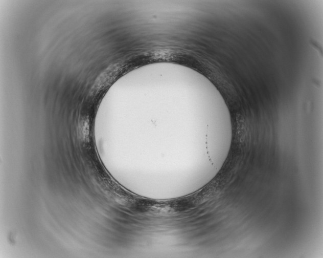 X0000103480502200810101002
