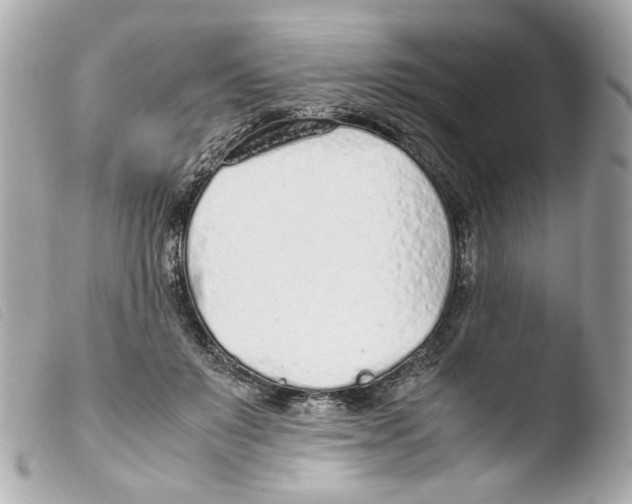 X0000103480503200810101002