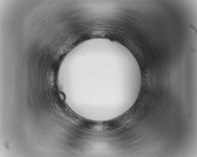 X0000103480504200810101002