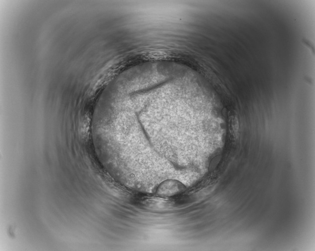 X0000103480507200810101002