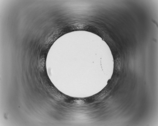 X0000103480509200810101002