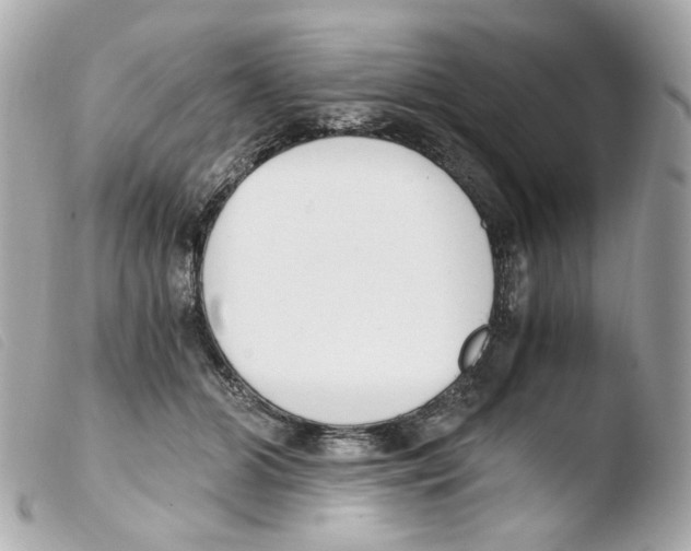 X0000103480510200810101002