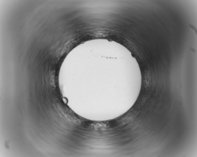 X0000103480512200810101002