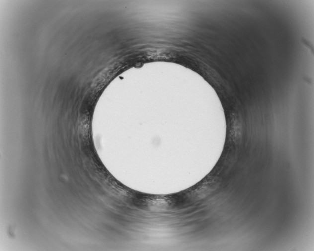 X0000103480513200810101002
