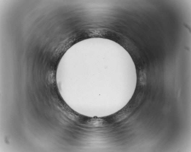 X0000103480514200810101002
