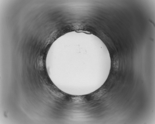 X0000103480516200810101002