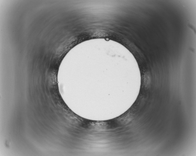 X0000103480517200810101002