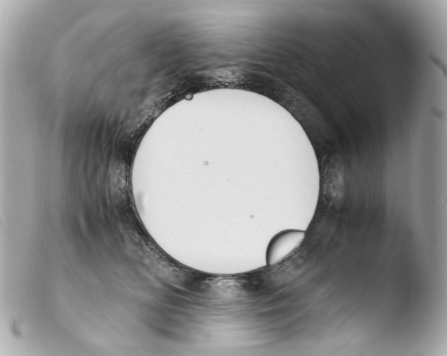 X0000103480518200810101002