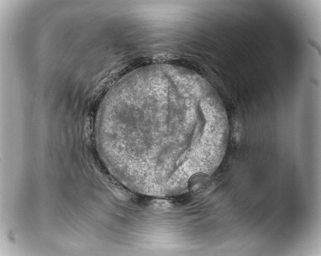 X0000103480519200810101002