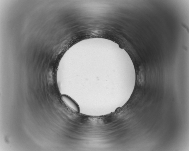 X0000103480520200810101002
