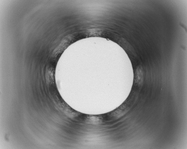 X0000103480522200810101002