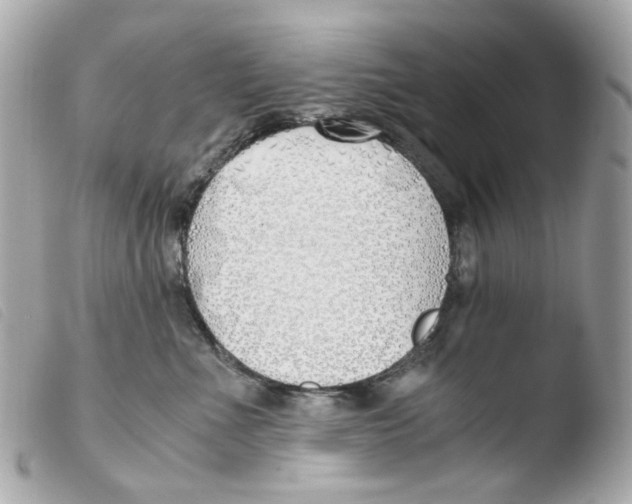 X0000103480523200810101002