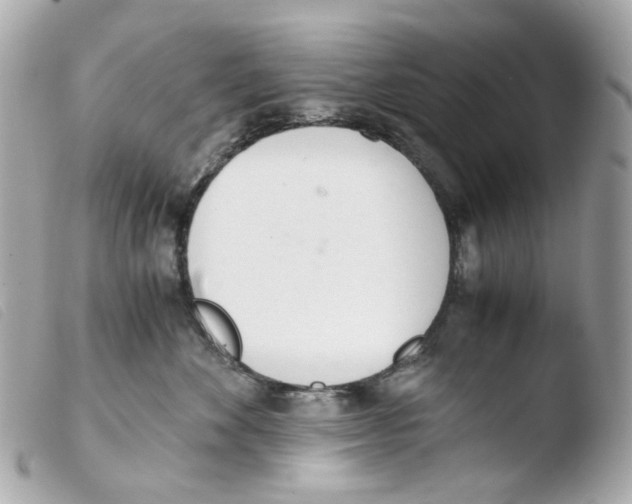 X0000103480524200810101002