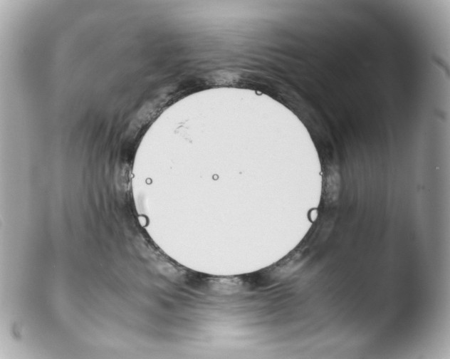 X0000103480525200810101002