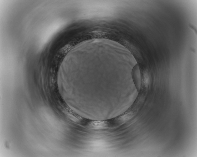 X0000103480526200810101002