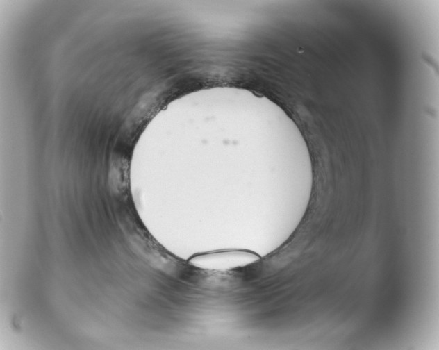 X0000103480528200810101002