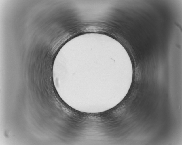 X0000103480529200810101001