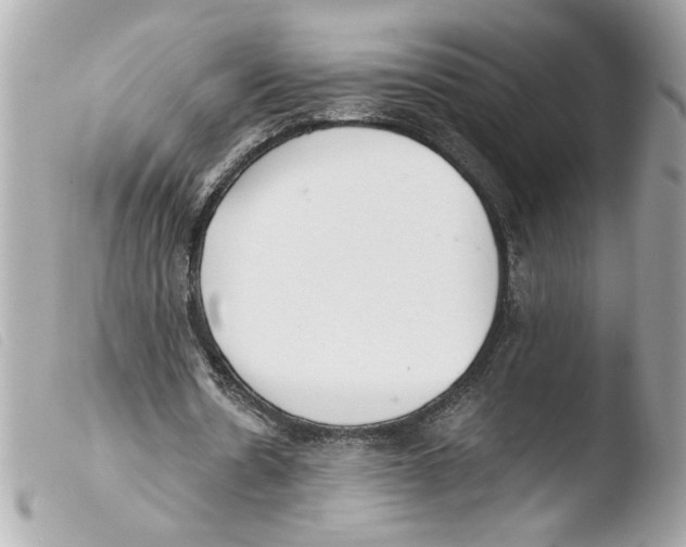 X0000103480530200810101001