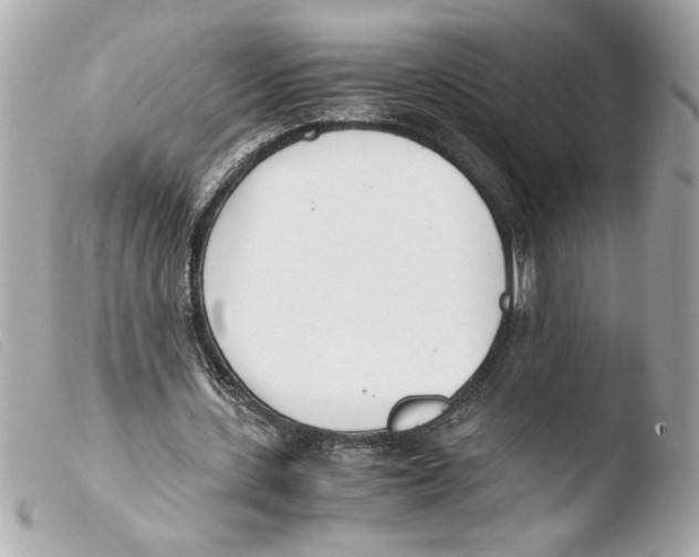 X0000103480531200810101001
