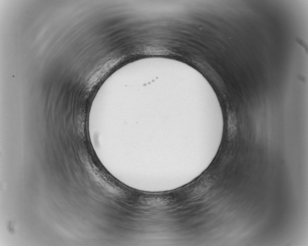 X0000103480533200810101001