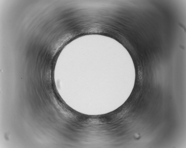 X0000103480534200810101001