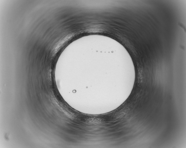 X0000103480535200810101001