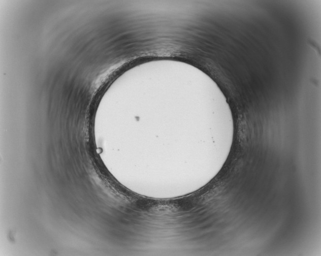 X0000103480536200810101001