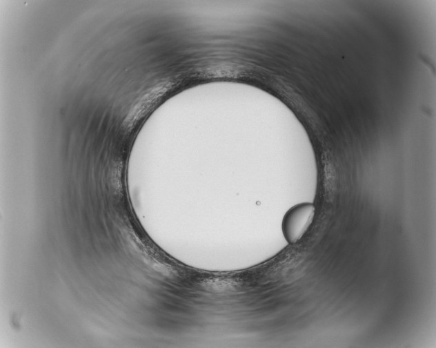 X0000103480537200810101001