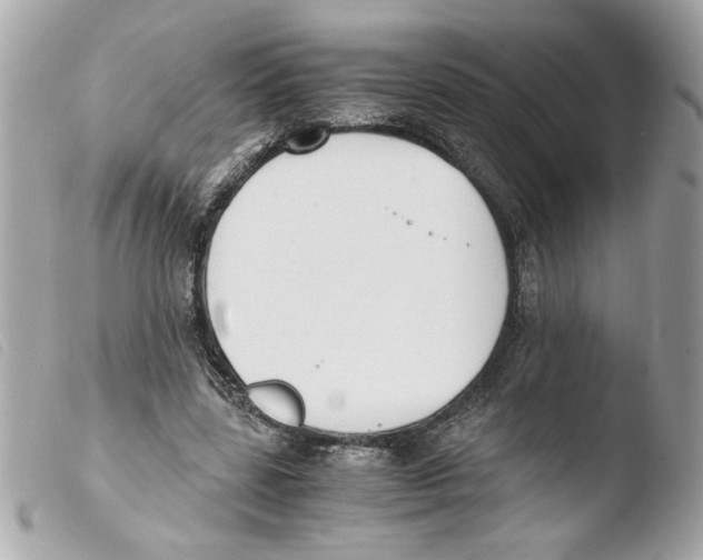 X0000103480539200810101001