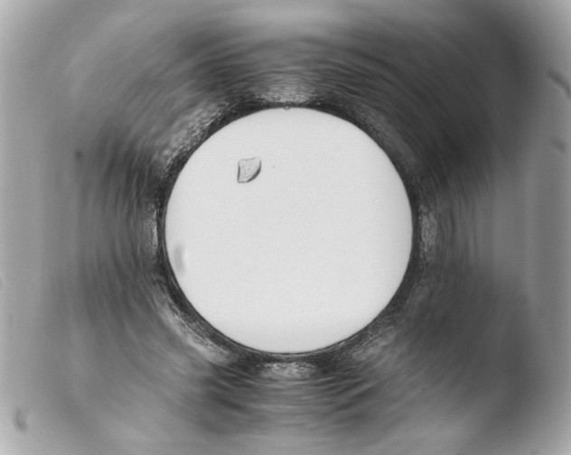 X0000103480541200810101002