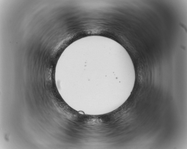X0000103480543200810101002