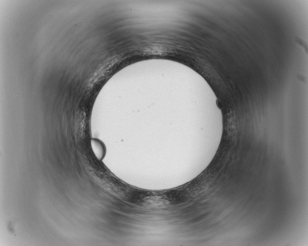 X0000103480544200810101002