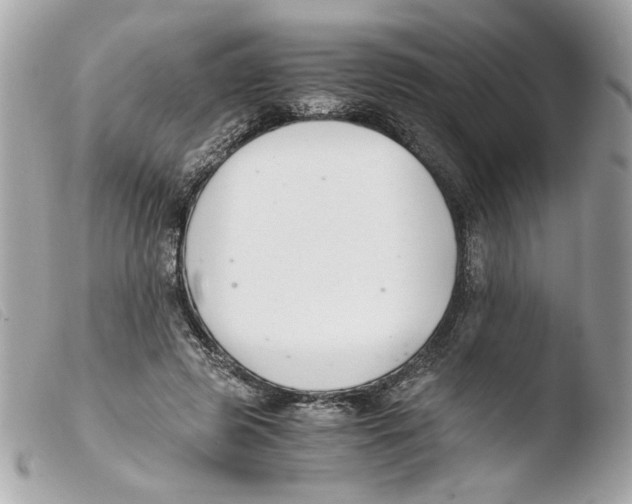 X0000103480545200810101002