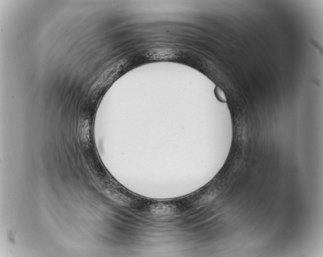 X0000103480549200810101002