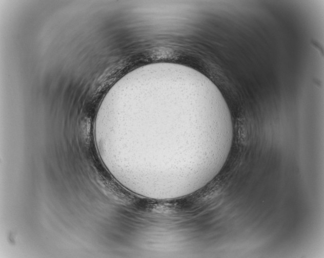 X0000103480550200810101002