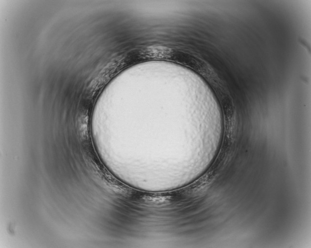 X0000103480553200810101002