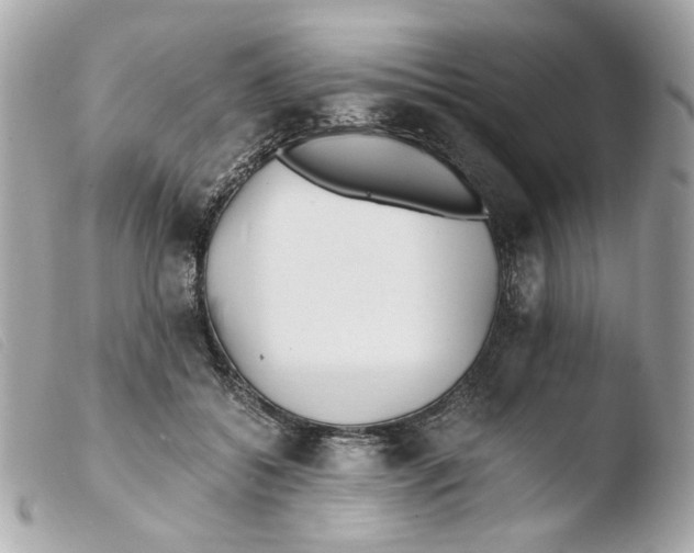 X0000103480556200810101002