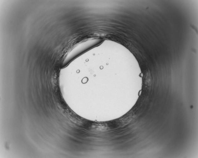 X0000103480559200810101002