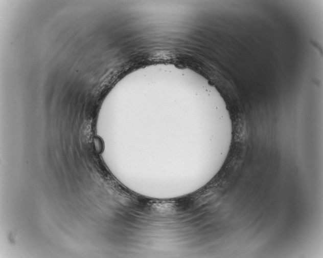X0000103480560200810101002