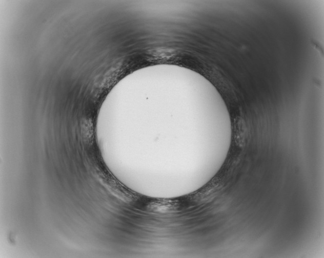 X0000103480563200810101002