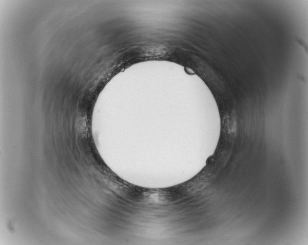 X0000103480564200810101002