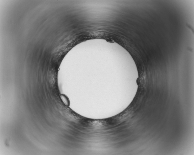 X0000103480566200810101002