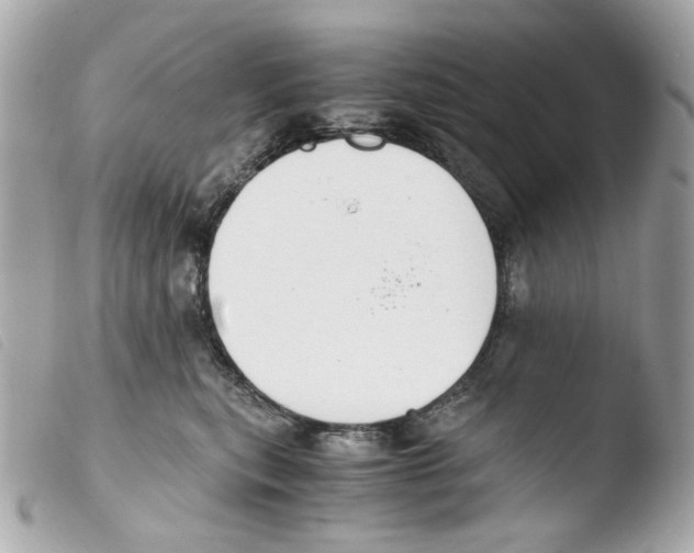 X0000103480567200810101002