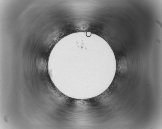 X0000103480568200810101002
