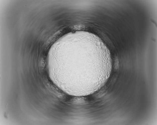 X0000103480569200810101002