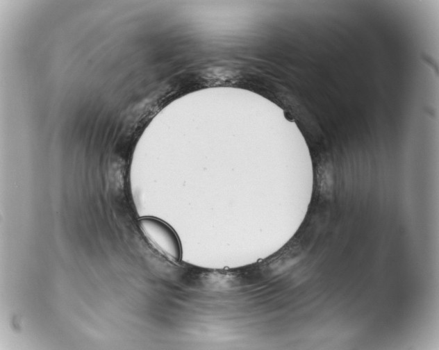 X0000103480570200810101002
