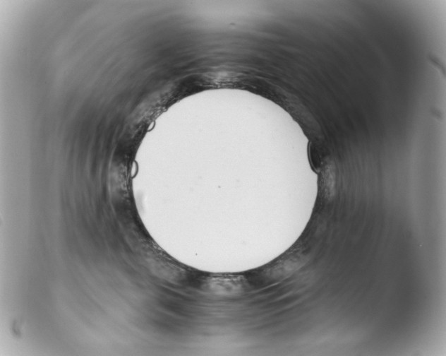 X0000103480571200810101002