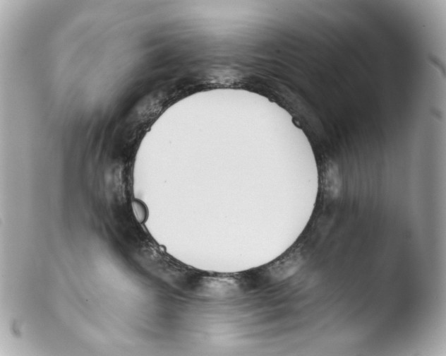 X0000103480572200810101002