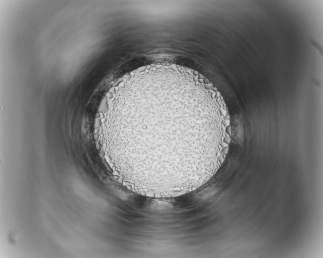 X0000103480573200810101002